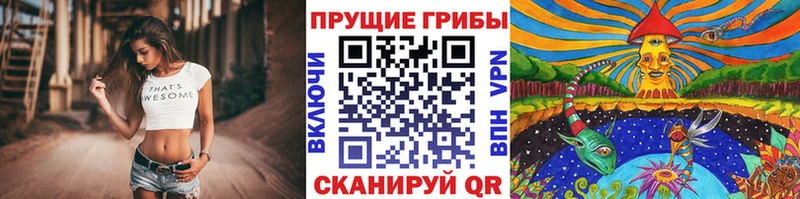 Галлюциногенные грибы ЛСД  даркнет клад  Черемхово 